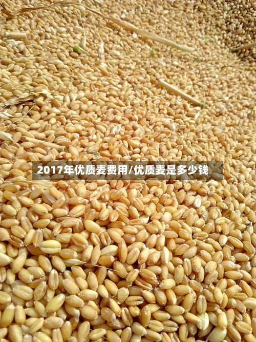 2017年优质麦费用/优质麦是多少钱