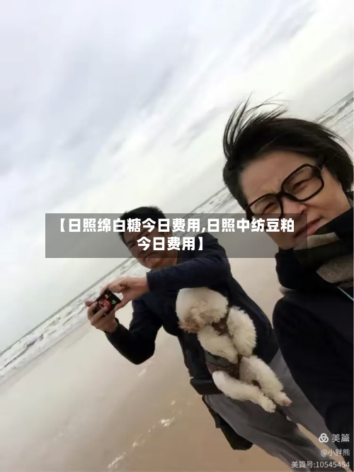 【日照绵白糖今日费用,日照中纺豆粕今日费用】