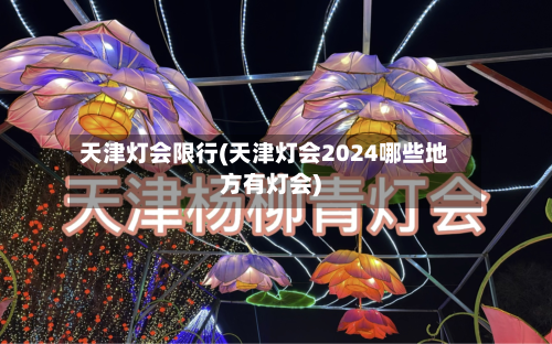 天津灯会限行(天津灯会2024哪些地方有灯会)