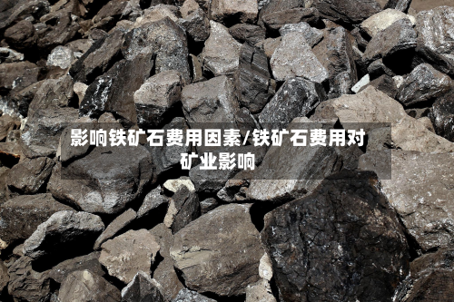 影响铁矿石费用因素/铁矿石费用对矿业影响