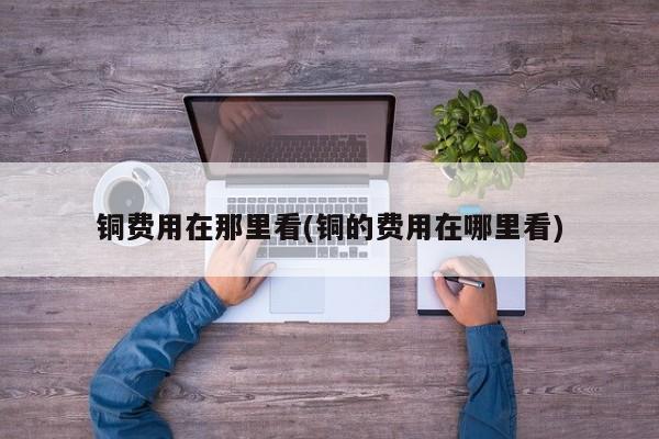 铜费用在那里看(铜的费用在哪里看)