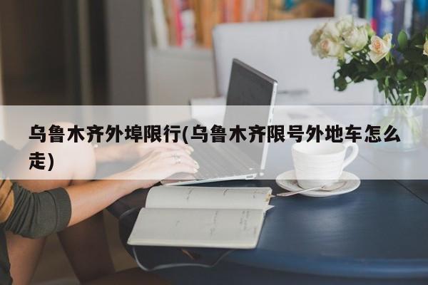 乌鲁木齐外埠限行(乌鲁木齐限号外地车怎么走)