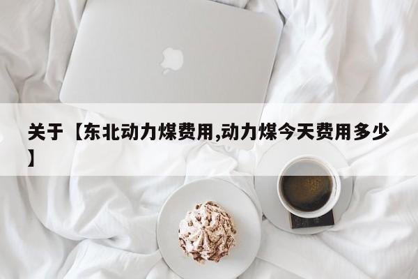 关于【东北动力煤费用,动力煤今天费用多少】
