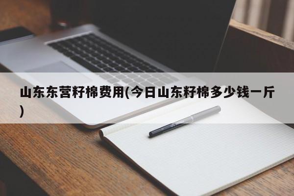 山东东营籽棉费用(今日山东籽棉多少钱一斤)