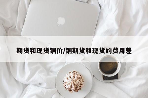 期货和现货铜价/铜期货和现货的费用差