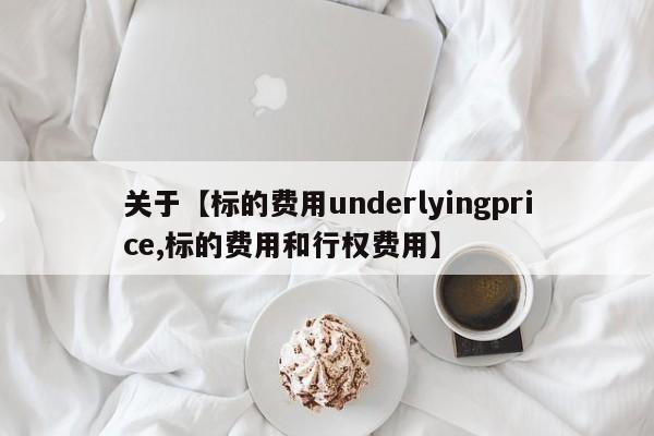 关于【标的费用underlyingprice,标的费用和行权费用】