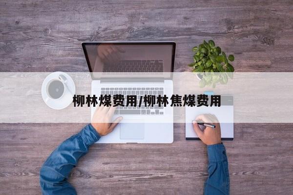 柳林煤费用/柳林焦煤费用