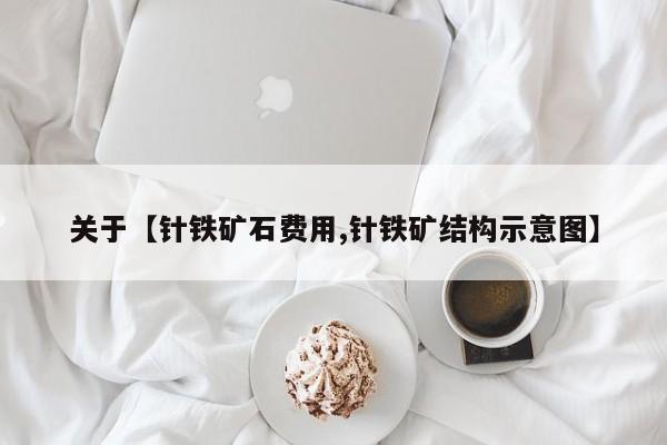 关于【针铁矿石费用,针铁矿结构示意图】