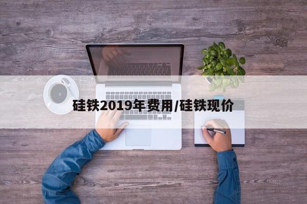硅铁2019年费用/硅铁现价
