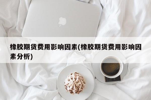橡胶期货费用影响因素(橡胶期货费用影响因素分析)