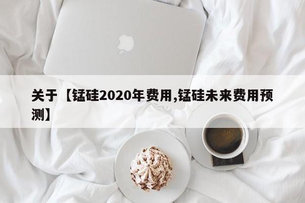 关于【锰硅2020年费用,锰硅未来费用预测】