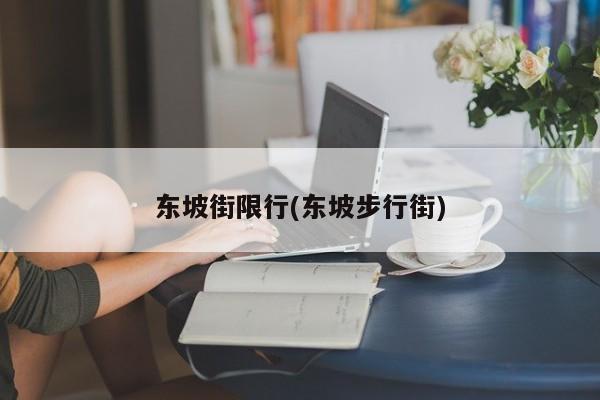 东坡街限行(东坡步行街)