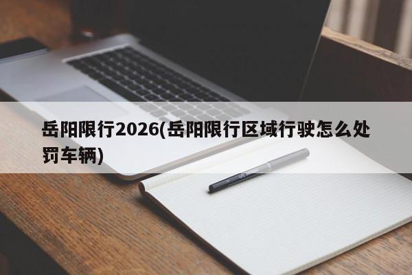 岳阳限行2026(岳阳限行区域行驶怎么处罚车辆)