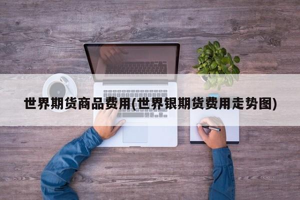 世界期货商品费用(世界银期货费用走势图)