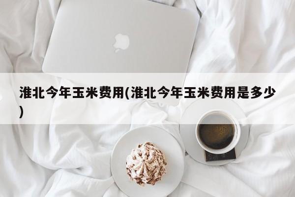 淮北今年玉米费用(淮北今年玉米费用是多少)
