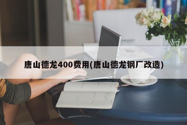 唐山德龙400费用(唐山德龙钢厂改造)